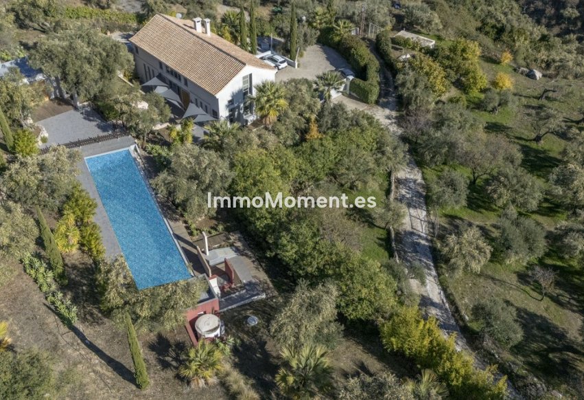 Revente - Villa - Intérieur                       - Monda