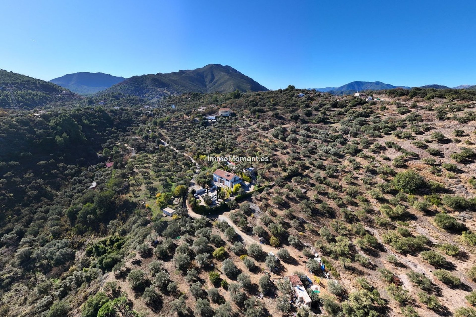 Revente - Villa - Intérieur                       - Monda