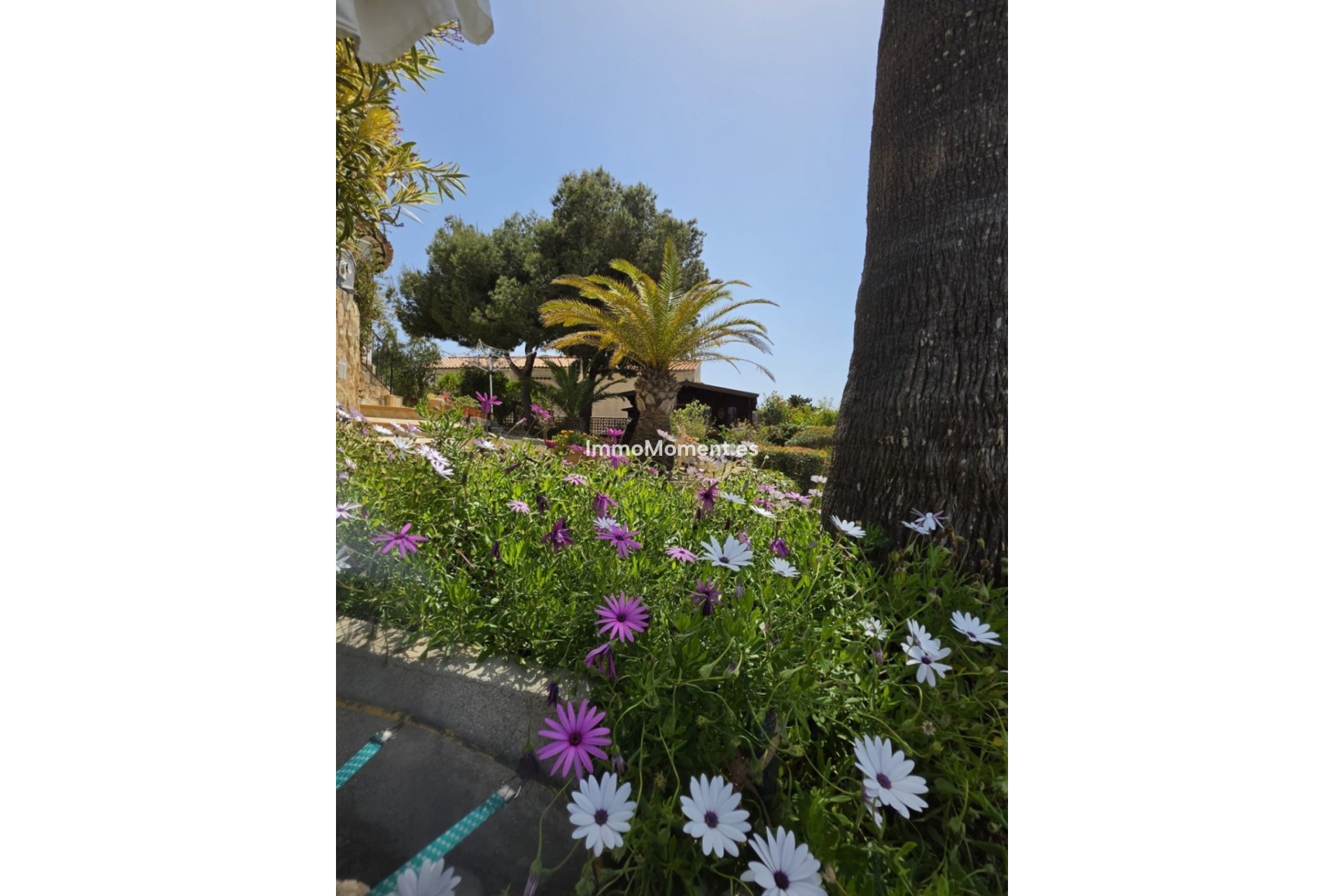 Revente - Villa - Jávea - Jávea - Xàbia Centro