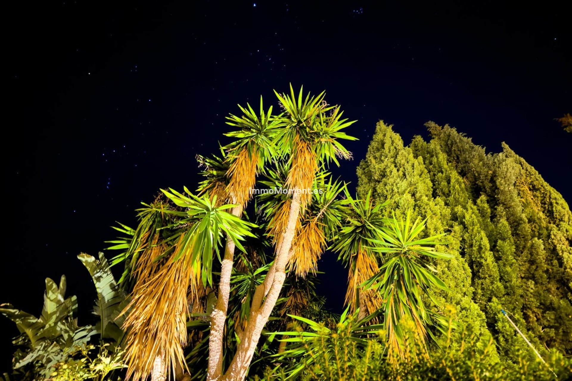 Revente - Villa - Marbella - El Rosario