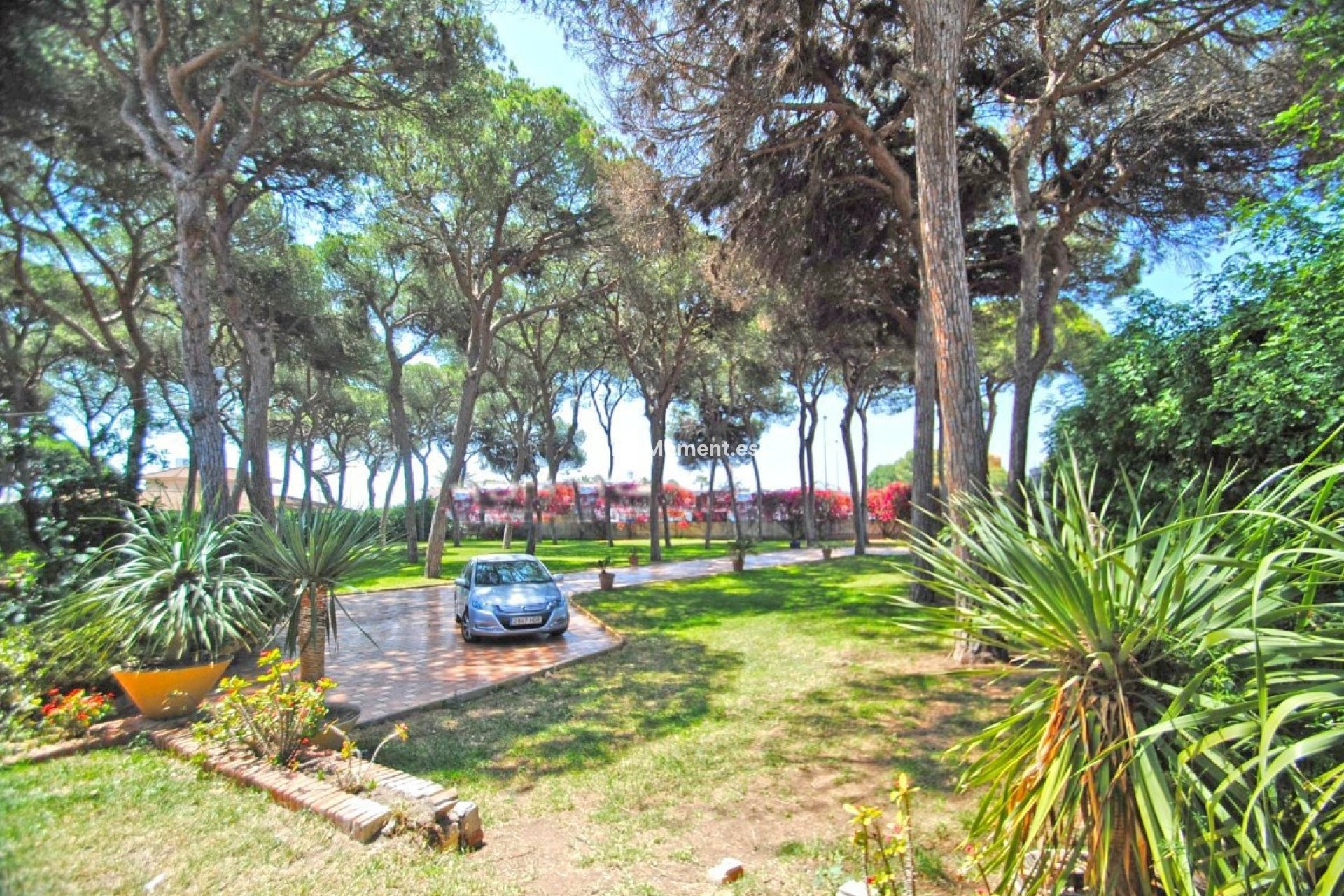 Revente - Villa - Marbella - Elviria