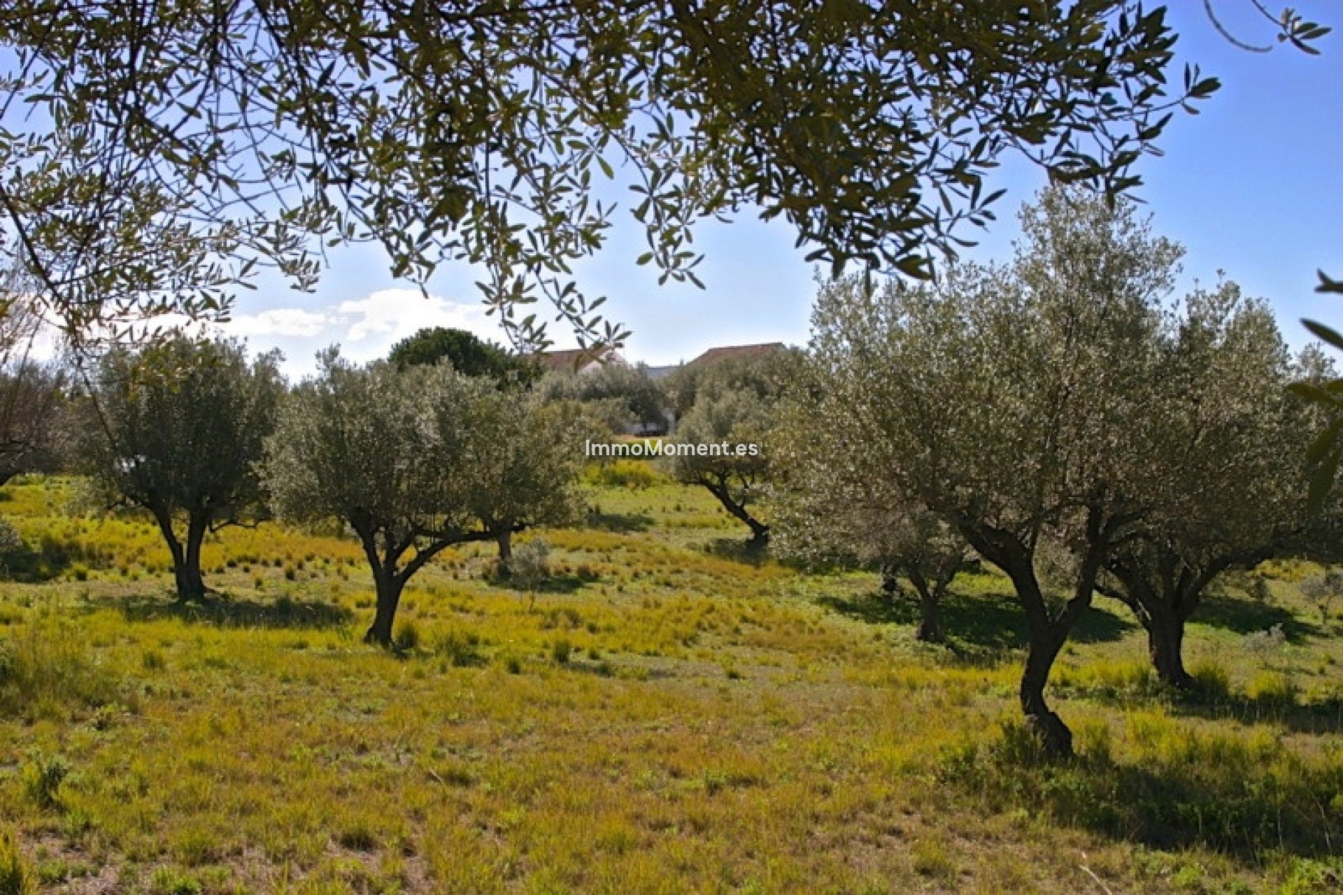 Revente - Villa - Marbella - Elviria