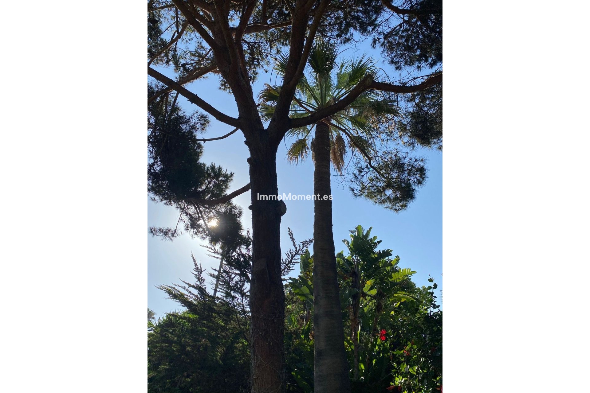 Revente - Villa - Marbella - Guadalmina Baja