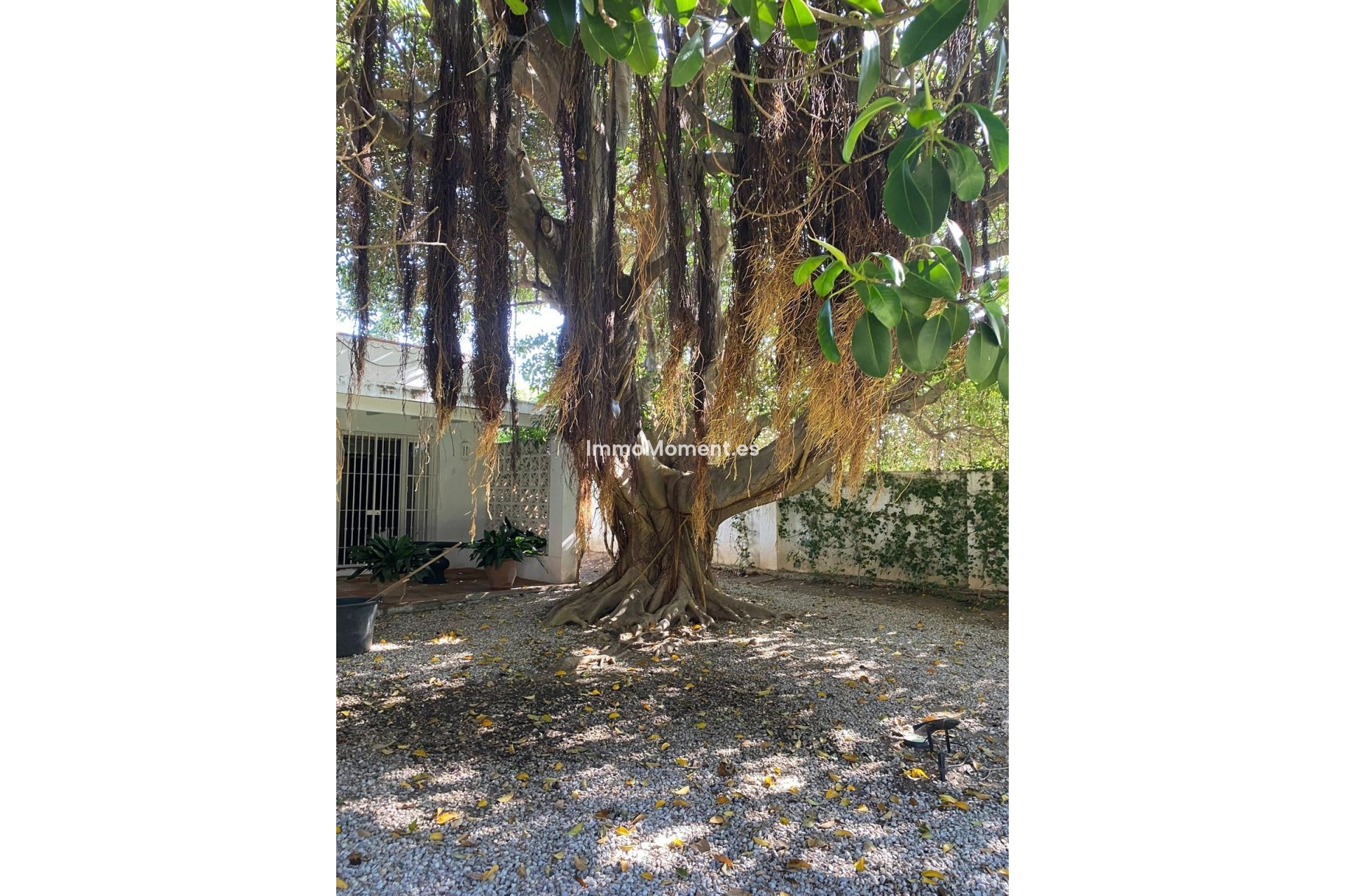 Revente - Villa - Marbella - Guadalmina Baja