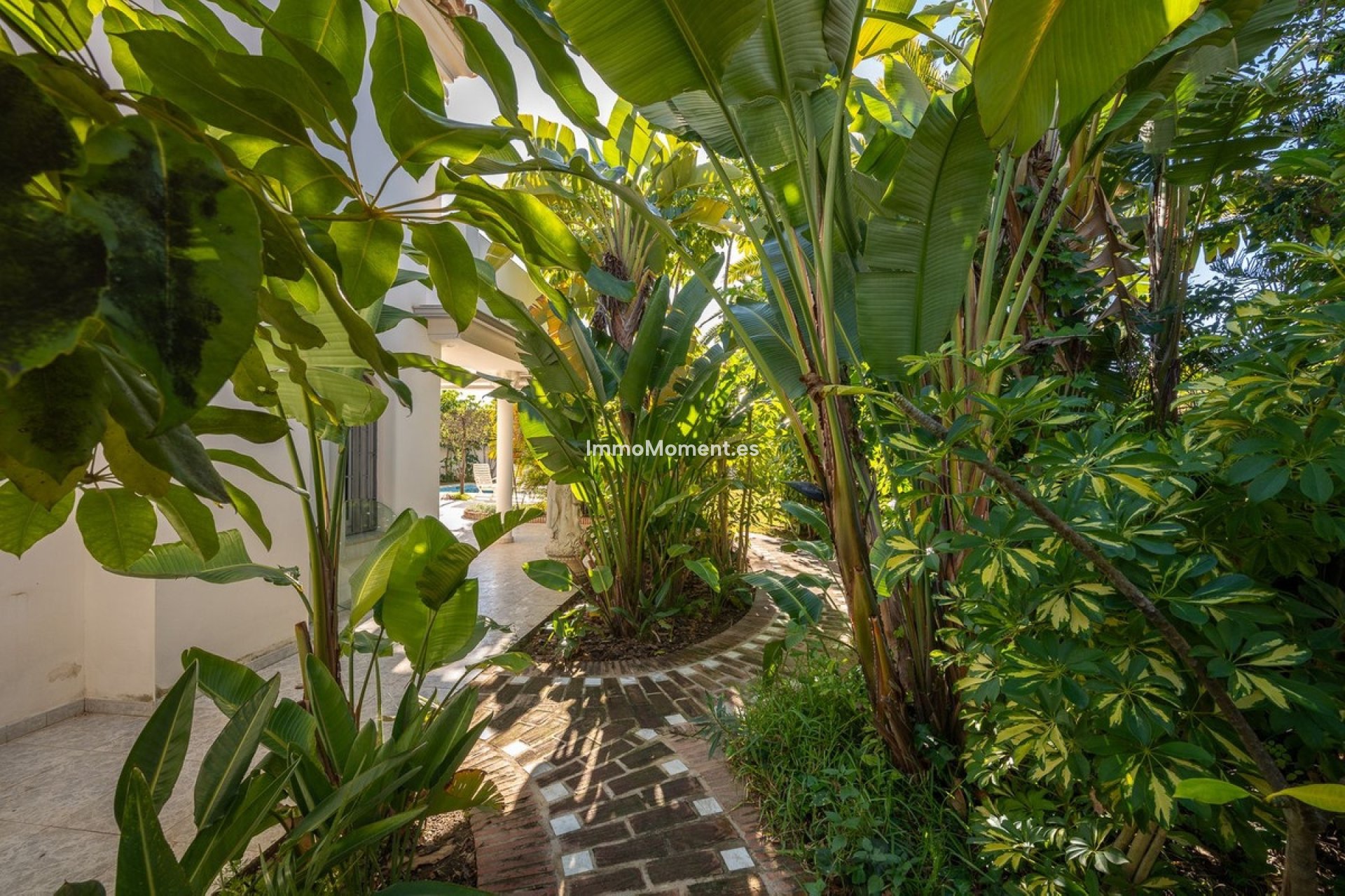 Revente - Villa - Marbella - Marbesa