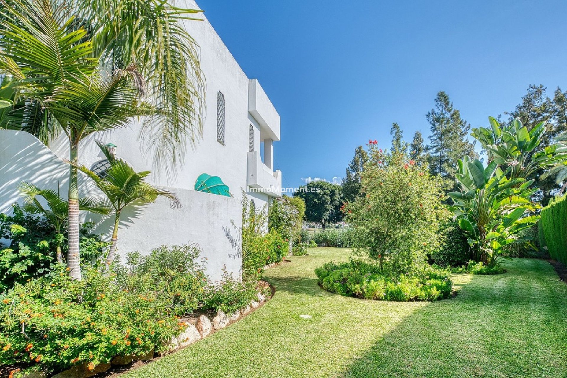 Revente - Villa - Marbella - Nueva Andalucía