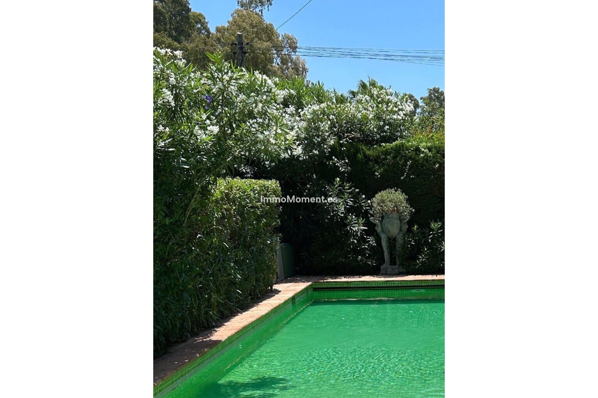 Revente - Villa - Marbella - San Pedro de Alcántara