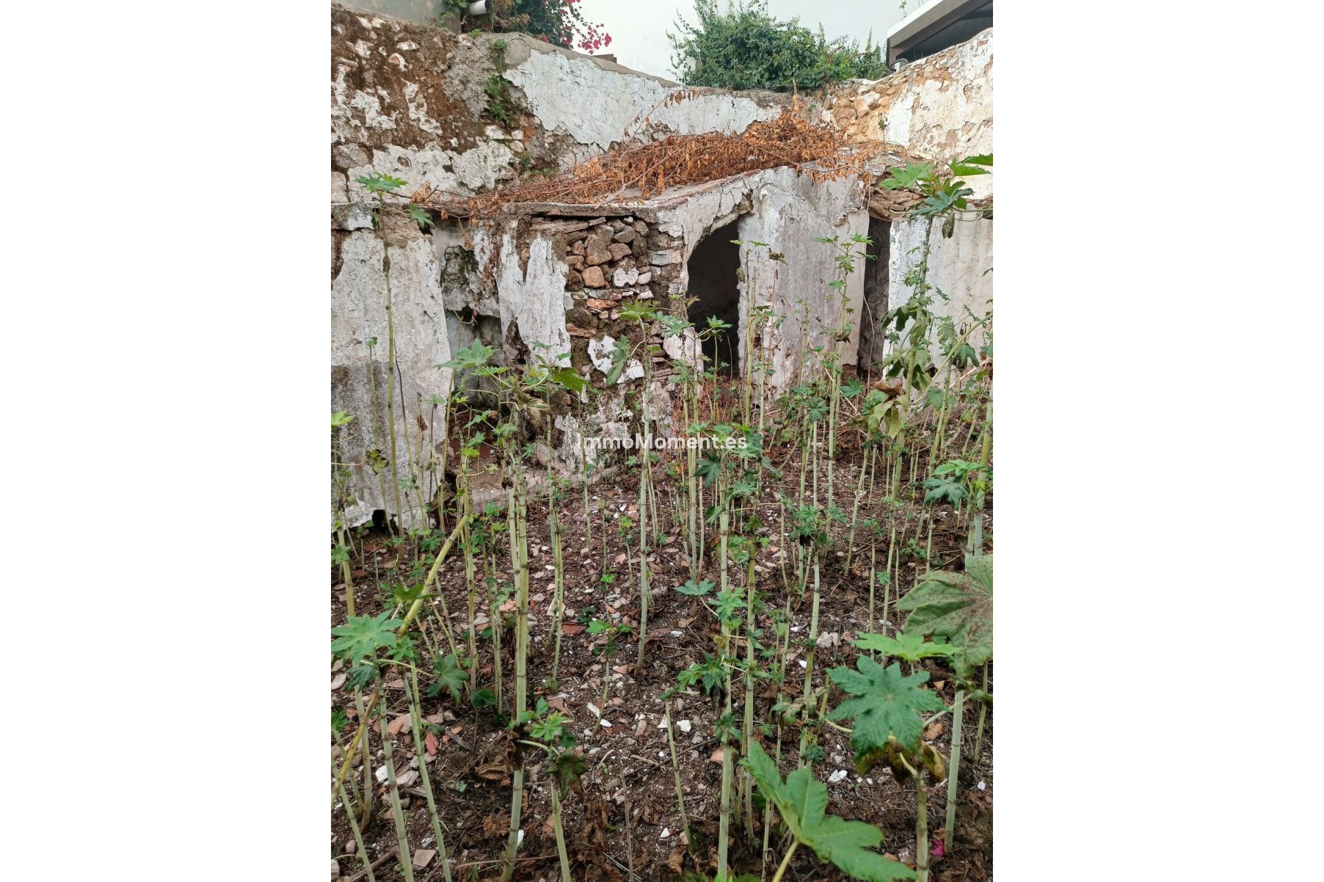 Revente - Villa - Mijas - Mijas Centro