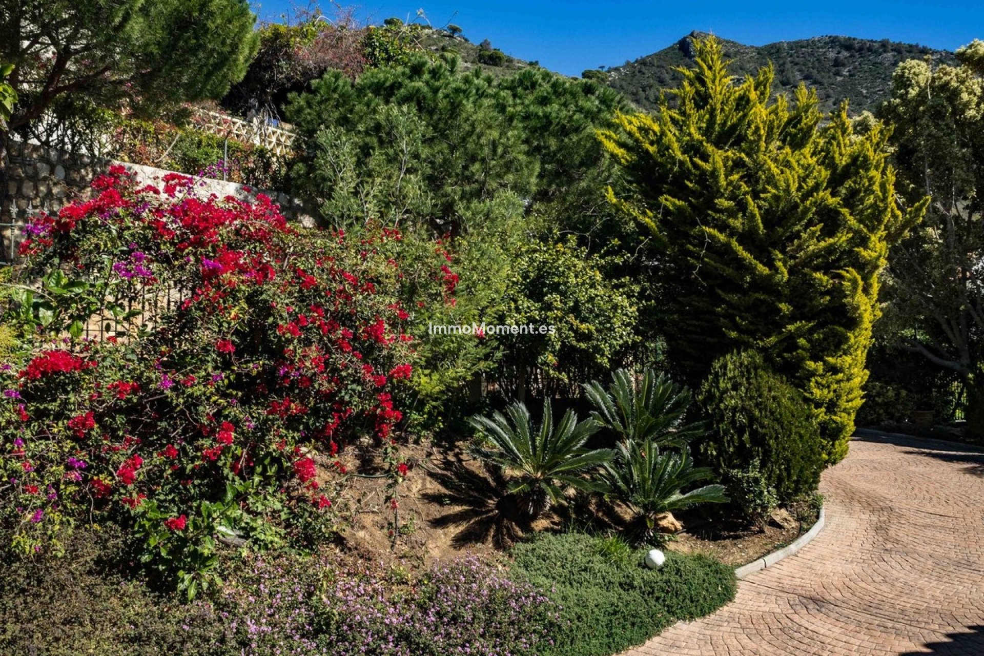 Revente - Villa - Mijas - Mijas Centro