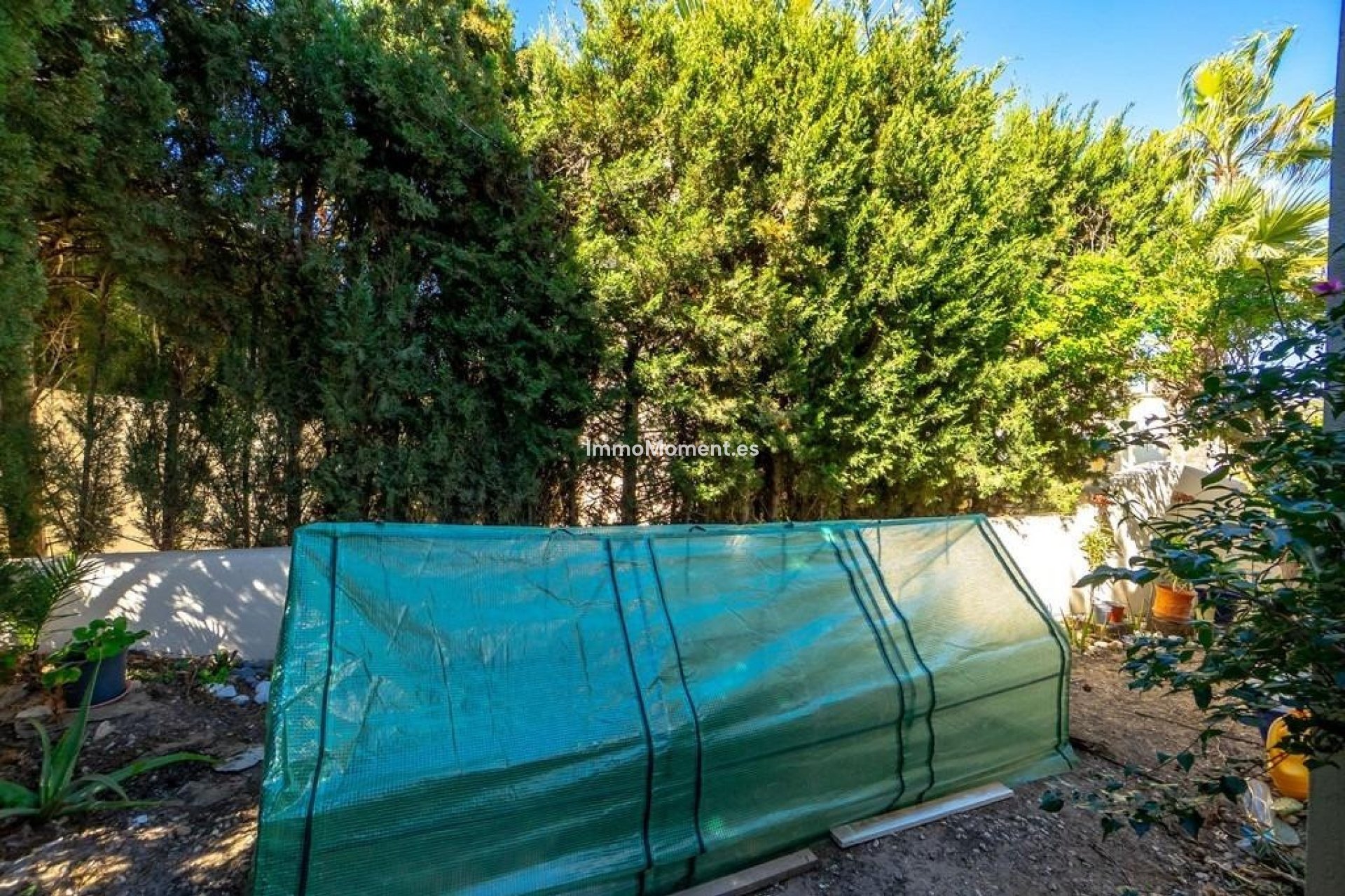 Revente - Villa - Orihuela - Las Ramblas Golf