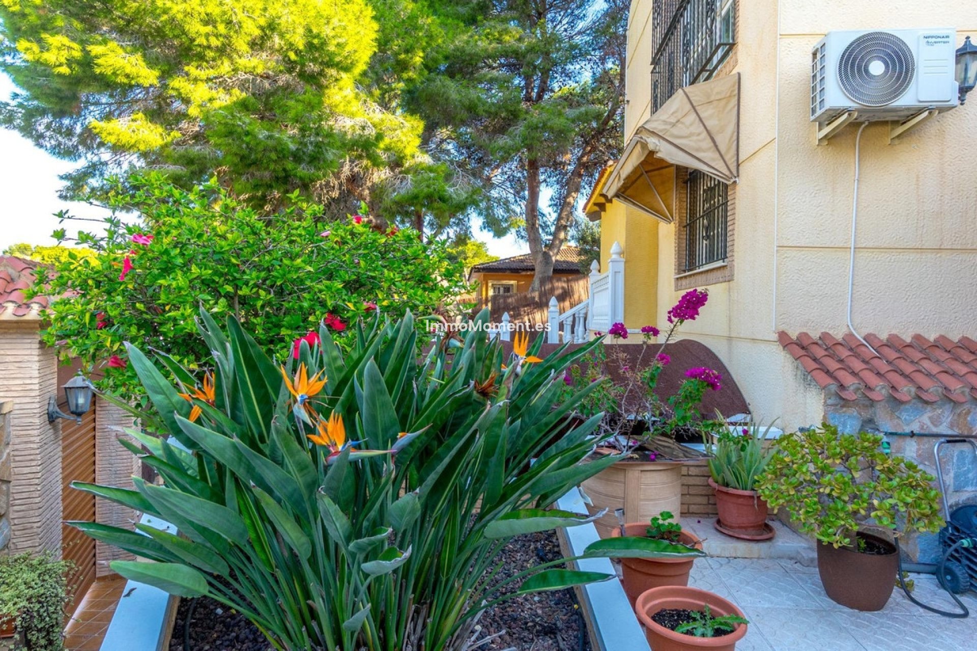 Revente - Villa - Orihuela - Los Balcones