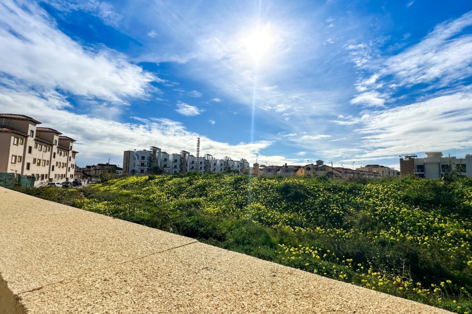 Revente - Villa - Orihuela - Orihuela Centro