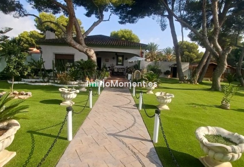 Revente - Villa - Orihuela - Orihuela Costa