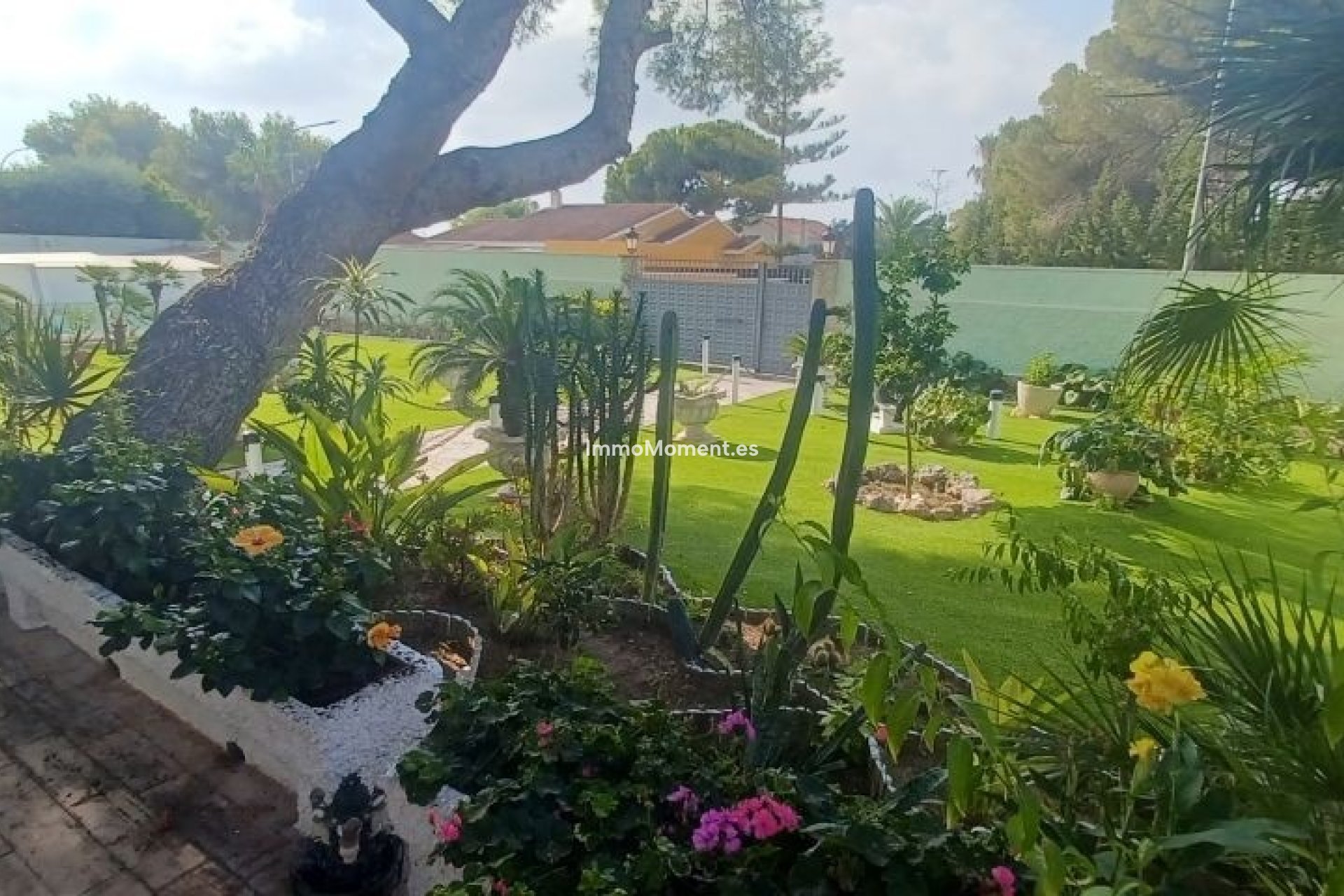 Revente - Villa - Orihuela - Orihuela Costa