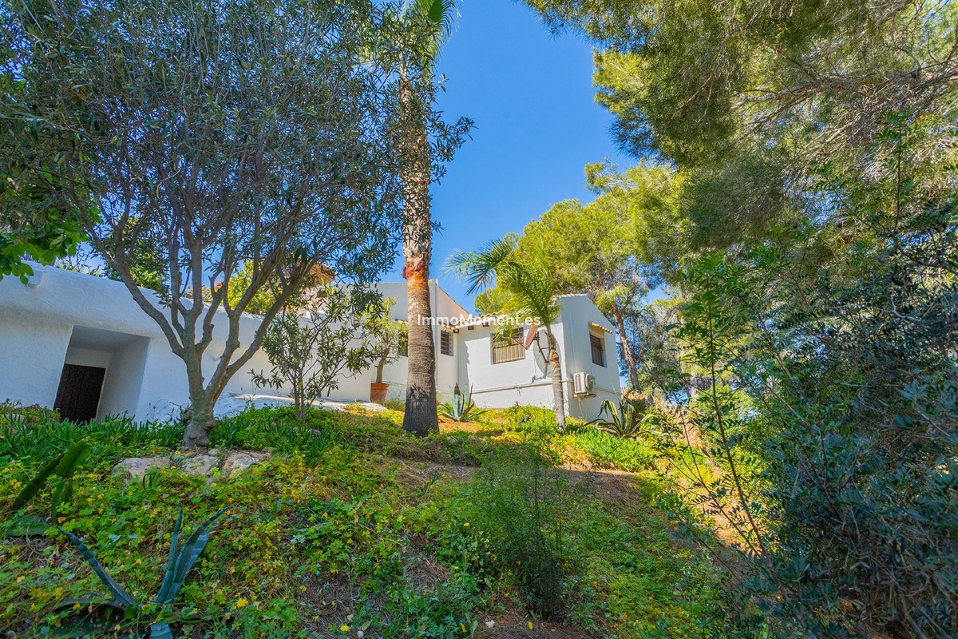 Revente - Villa - Orihuela - Orihuela Costa
