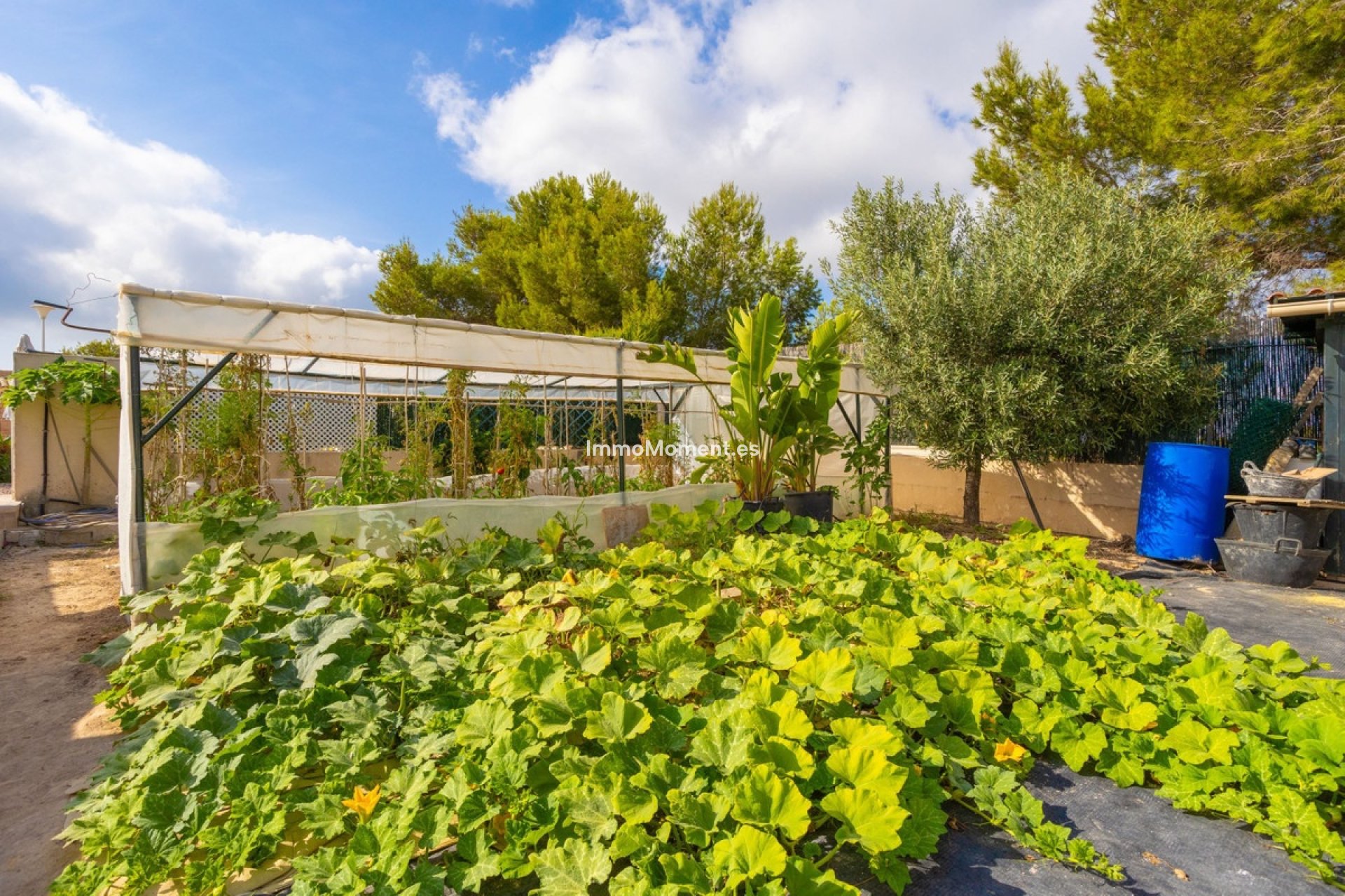 Revente - Villa - Orihuela - Villamartin