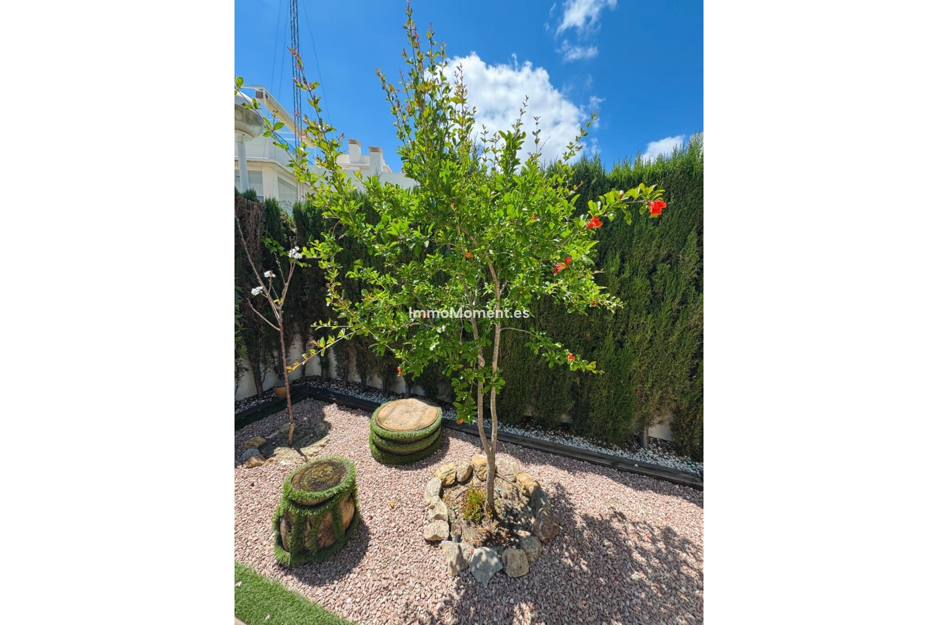 Revente - Villa - Rojales - Ciudad Quesada