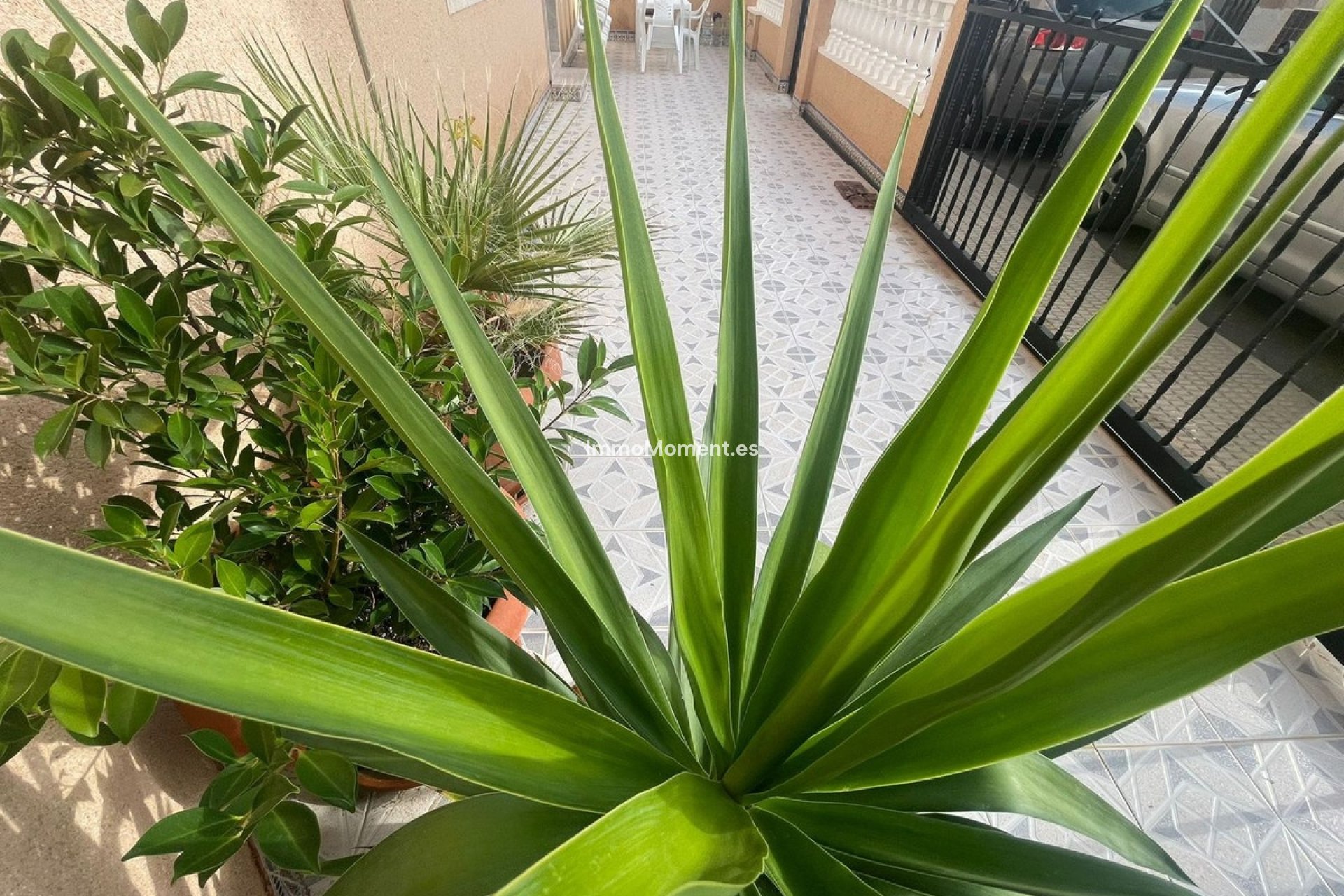 Revente - Villa - San Pedro del Pinatar - Lo Pagan