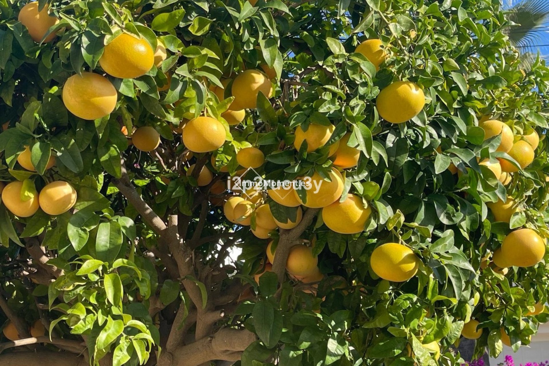 Revente - Villa - Teulada - Moraira