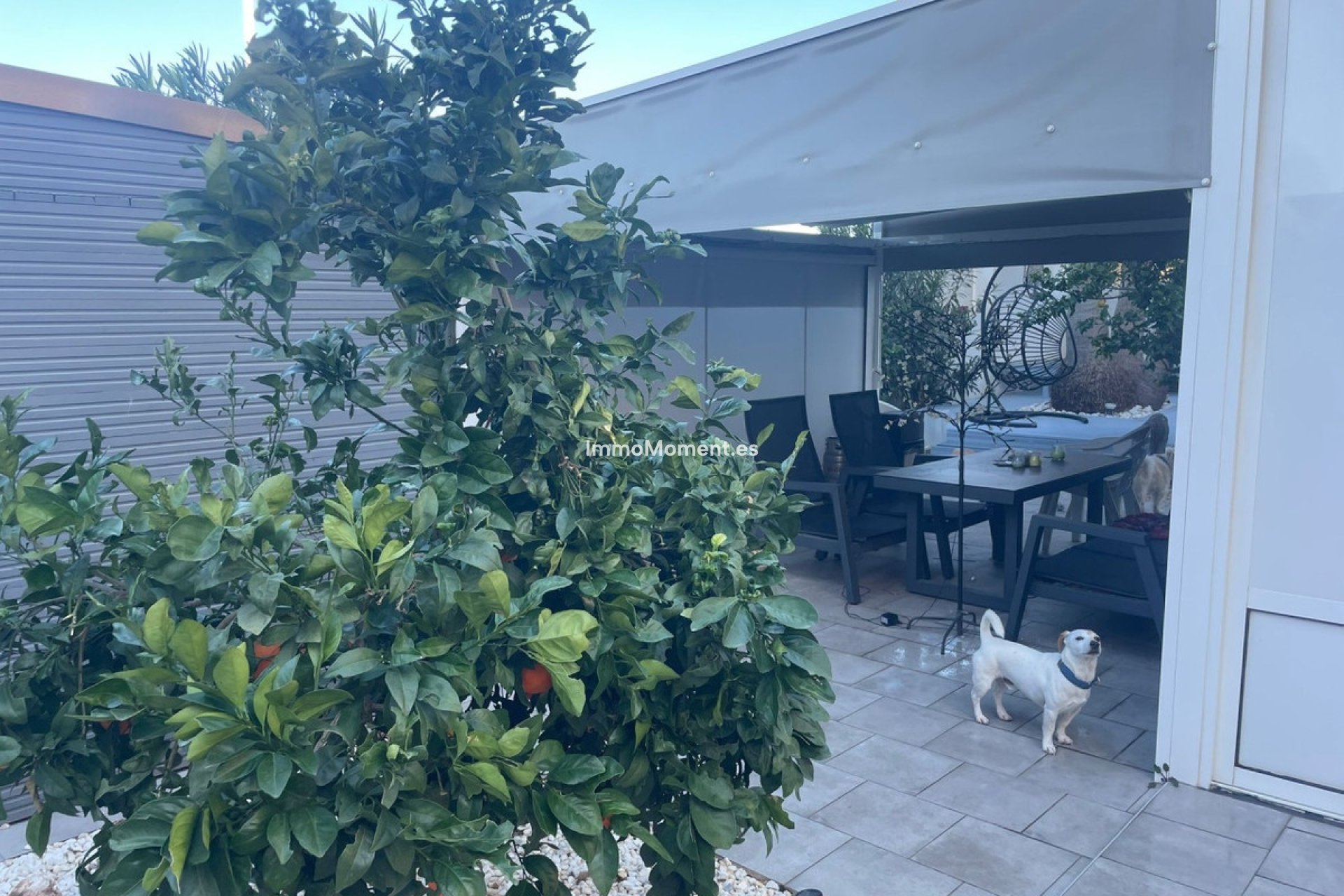 Revente - Villa - Torrevieja - La Mata