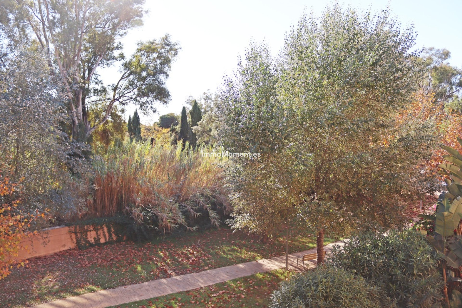 Short Term Rentals - Apartment - Marbella - Carib Playa