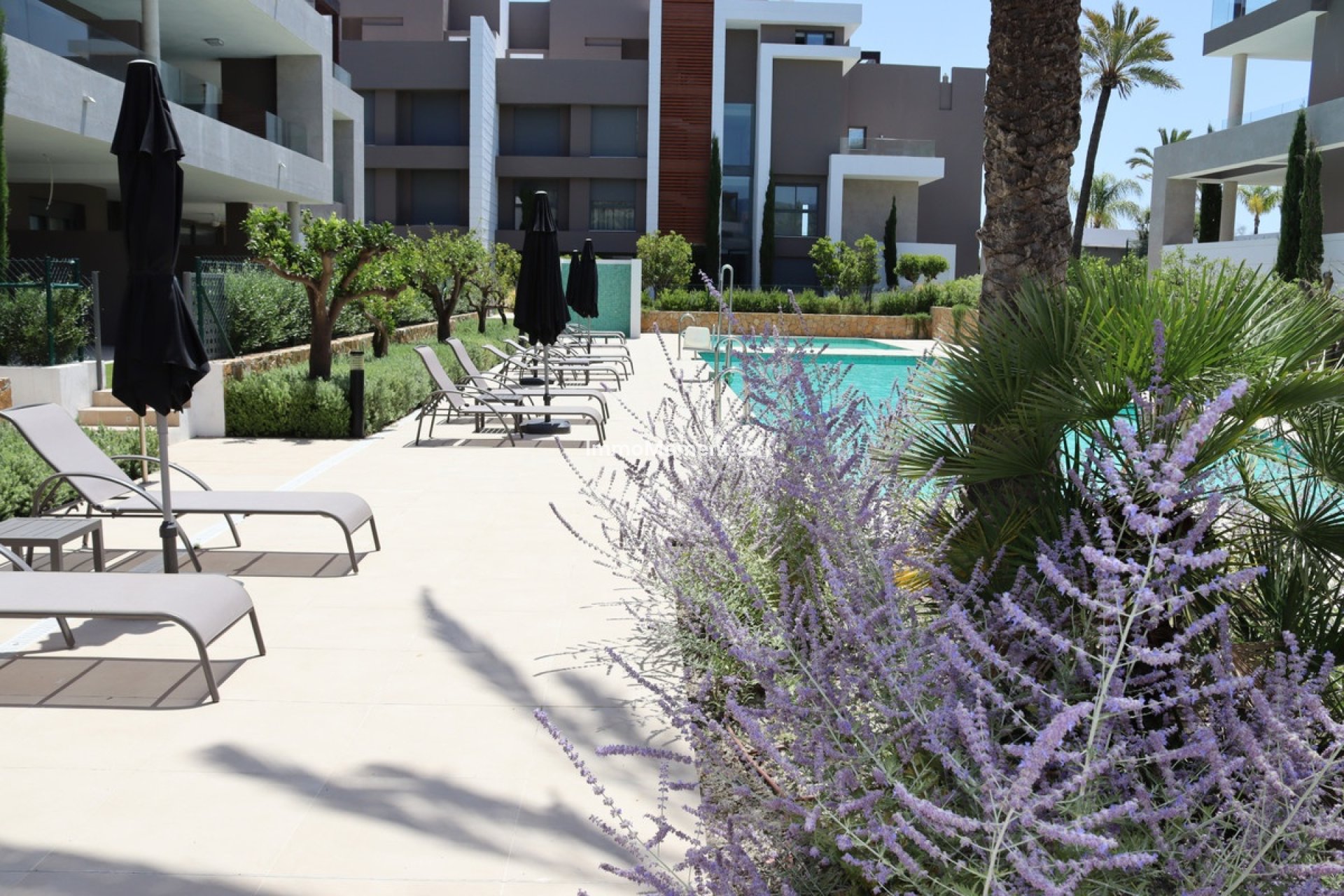 Short Term Rentals - Penthouse - Estepona - Cancelada