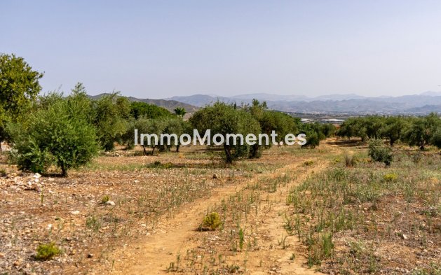 Terrain - Revente - Intérieur                       - Alhaurín de la Torre