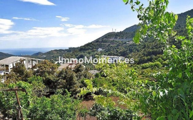 Terreno - Reventa - Interior  - Ojén