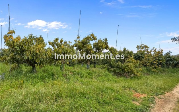 Villa - Bestaande woning - Sotogrande - Sotogrande