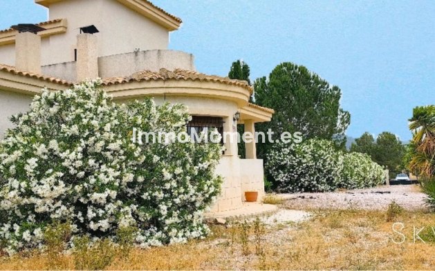 Villa independiente - Reventa - Pinoso - Pinoso Centro