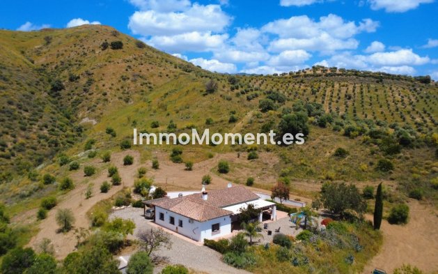 Villa individuelle - Revente - Intérieur                       - Alora