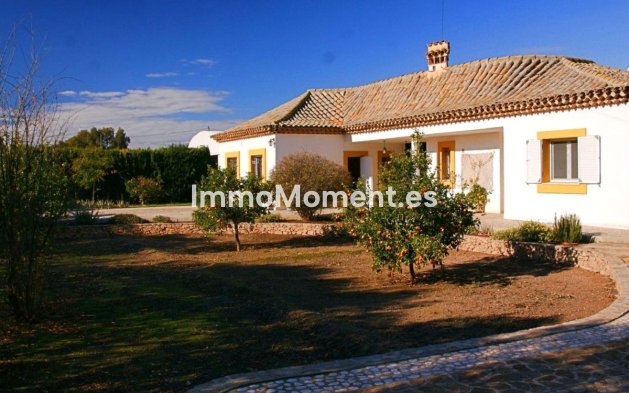 Villa - Resale - Lorca - Lorca Centro