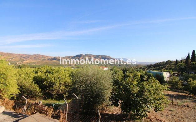 Villa - Revente - Intérieur                       - Alora