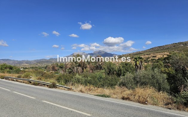 Villa - Revente - Intérieur                       - Guaro