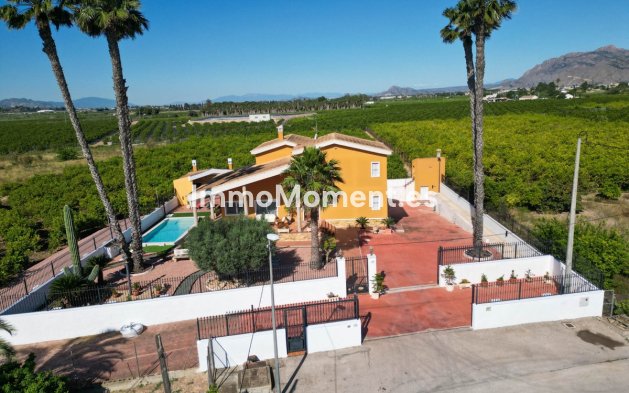 Villa - Revente - Orihuela - Orihuela Centro