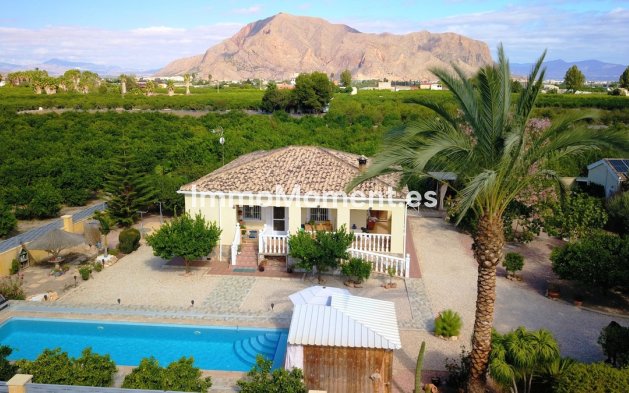Vrijstaande villa - Bestaande woning - Orihuela - La Campaneta