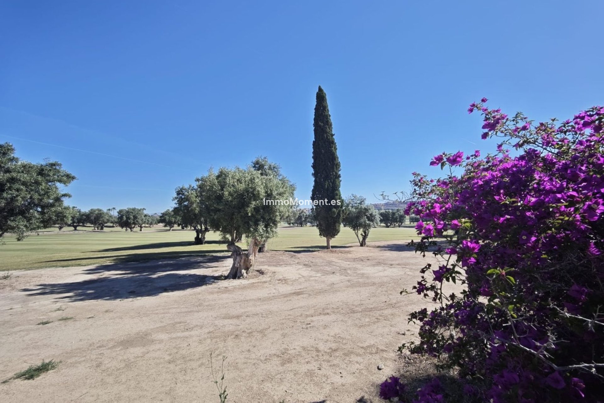 Wiederverkauf - Freistehende Villa - Algorfa - Algorfa Centro
