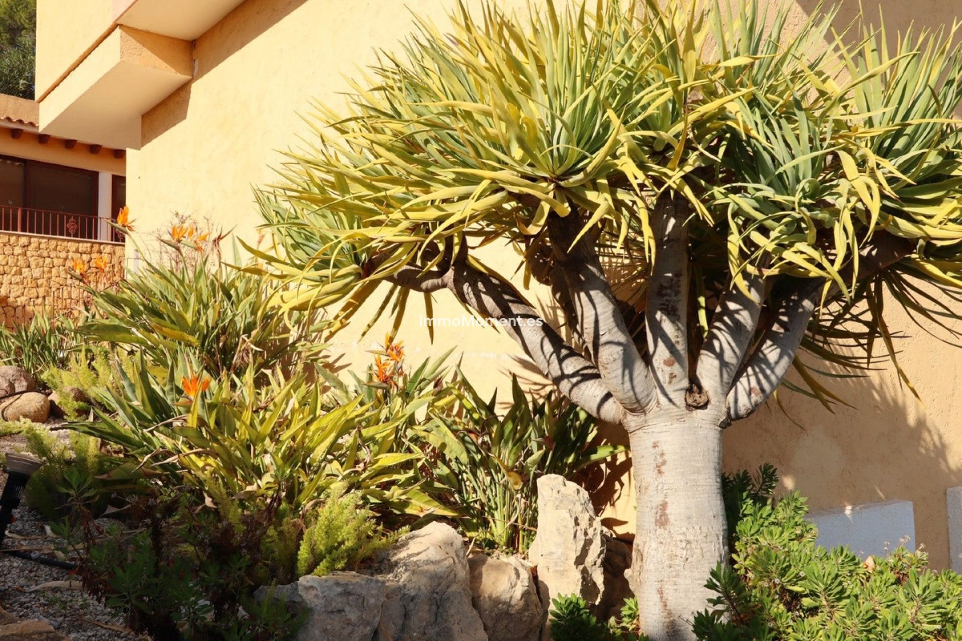 Wiederverkauf - Freistehende Villa - Altea - Altea Centro