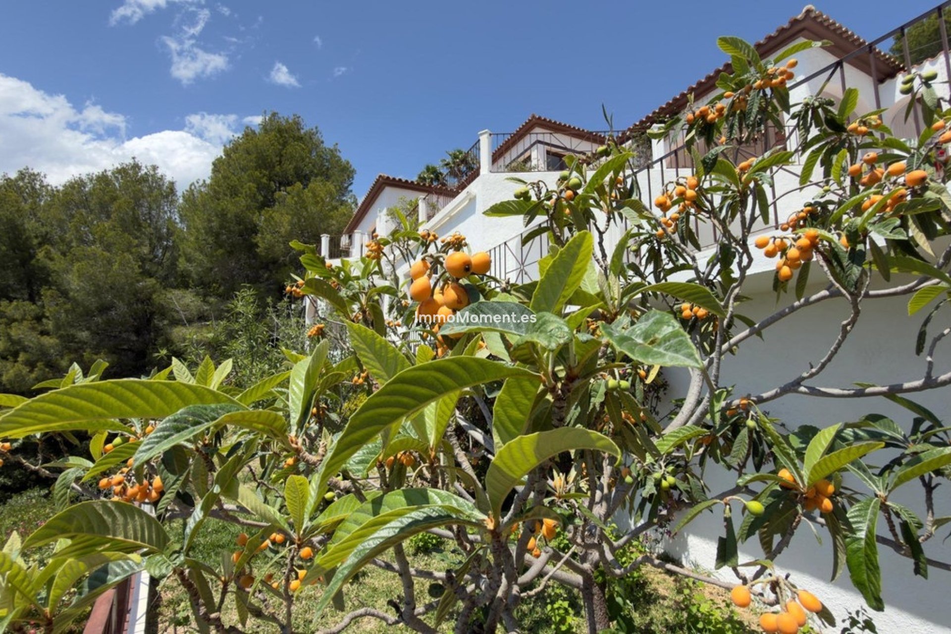 Wiederverkauf - Freistehende Villa - Altea - Altea Centro