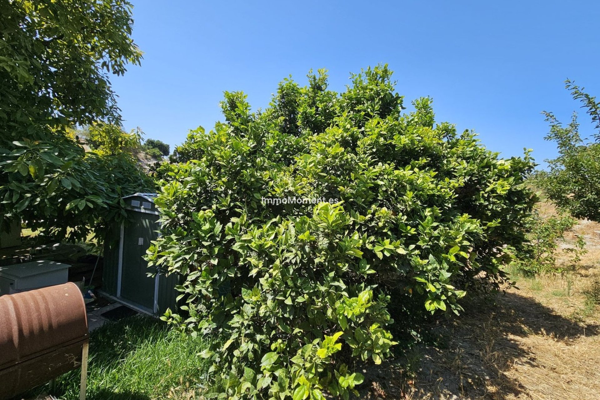 Wiederverkauf - Freistehende Villa - Casares - Casares Centro