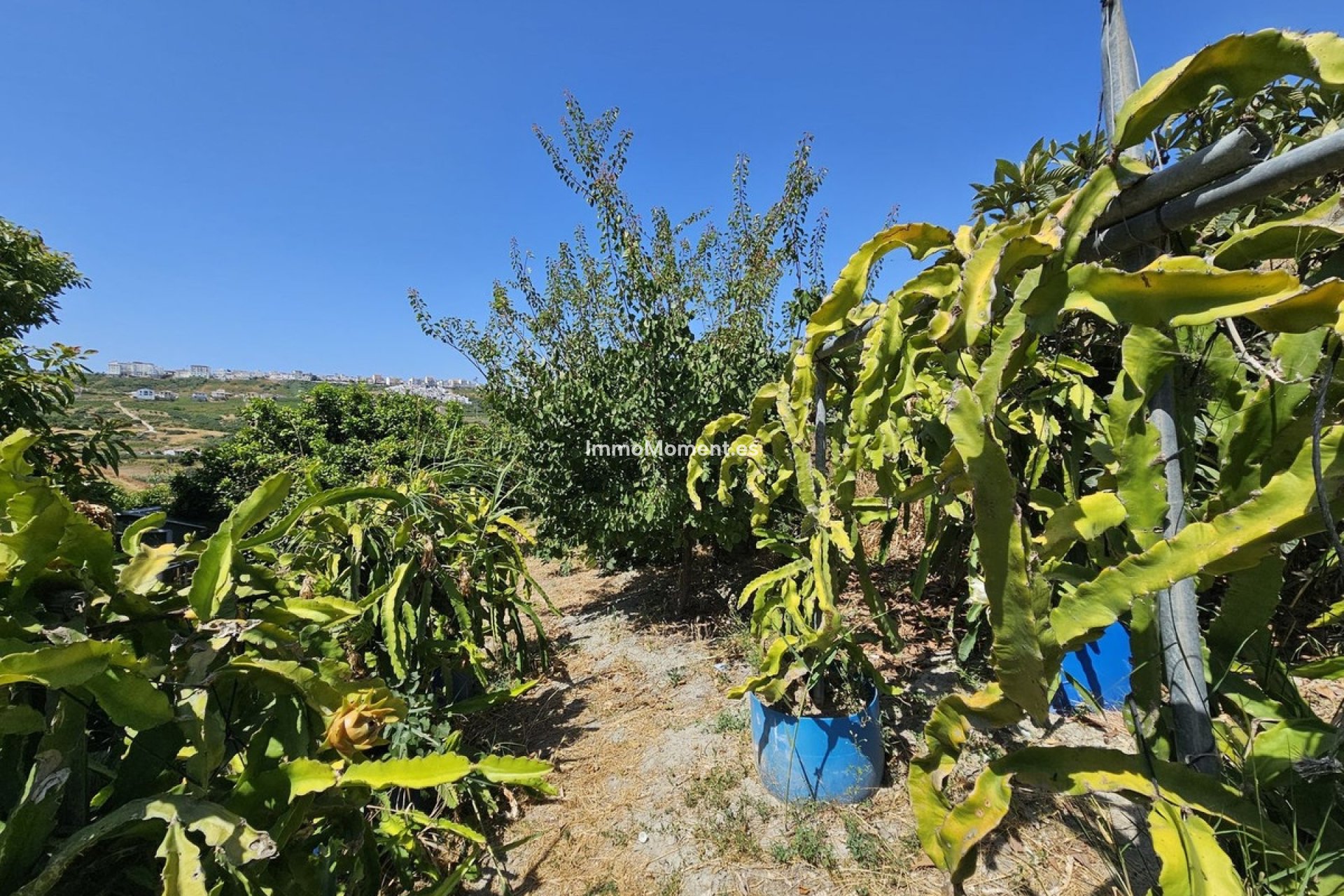Wiederverkauf - Freistehende Villa - Casares - Casares Centro