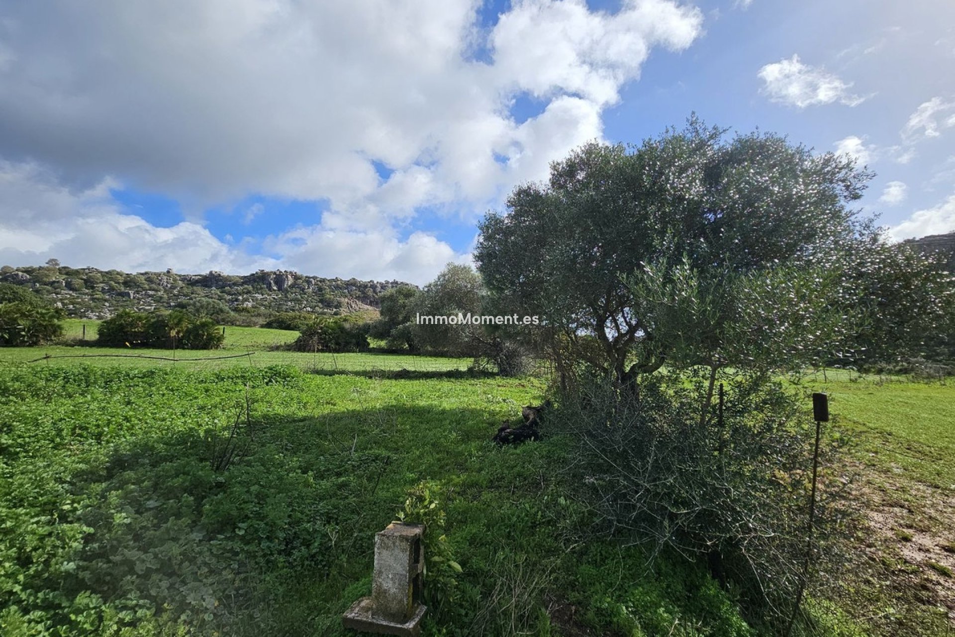 Wiederverkauf - Freistehende Villa - Casares - Casares Centro