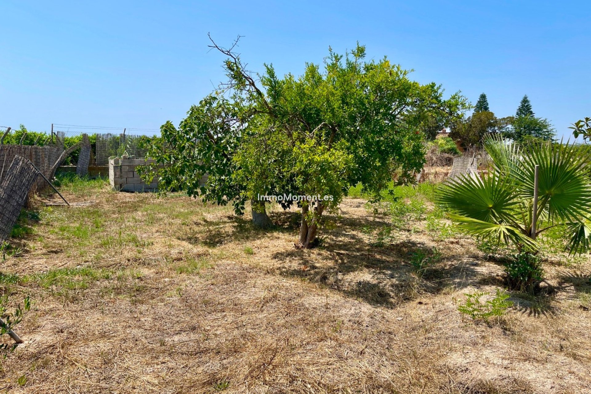 Wiederverkauf - Freistehende Villa - Daya Nueva - Daya Nueva Centro