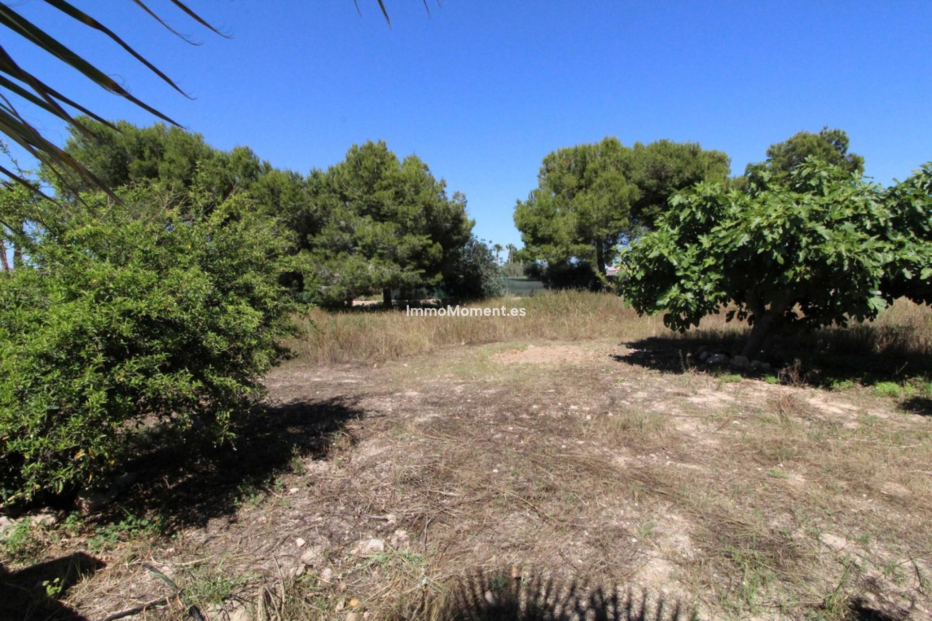 Wiederverkauf - Freistehende Villa - Elche - Elche Centro