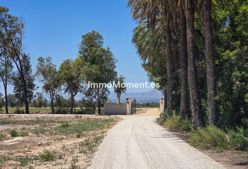 Wiederverkauf - Freistehende Villa - Elche - Elche Centro