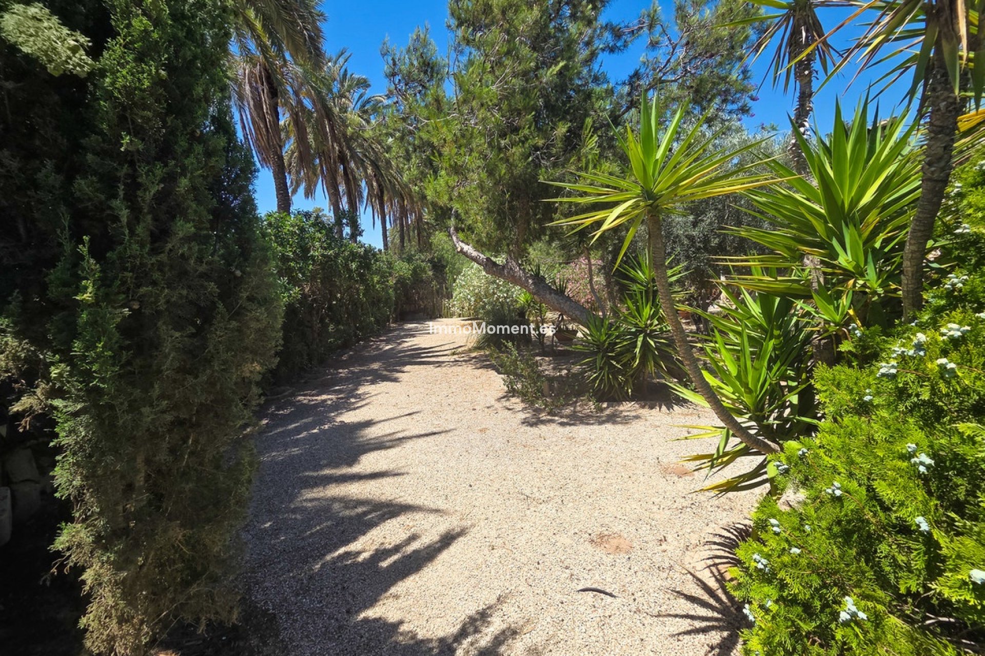 Wiederverkauf - Freistehende Villa - Elche - Elche Centro