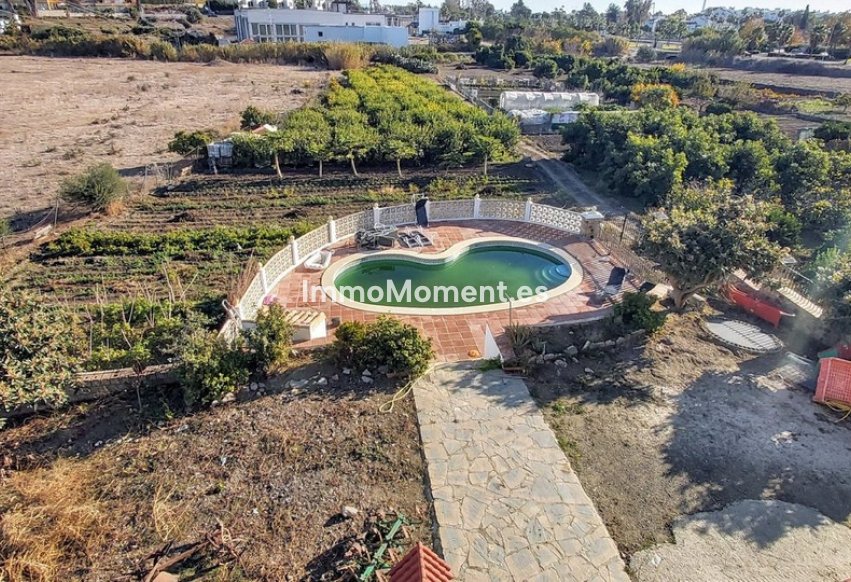 Wiederverkauf - Freistehende Villa - Estepona  - Cancelada