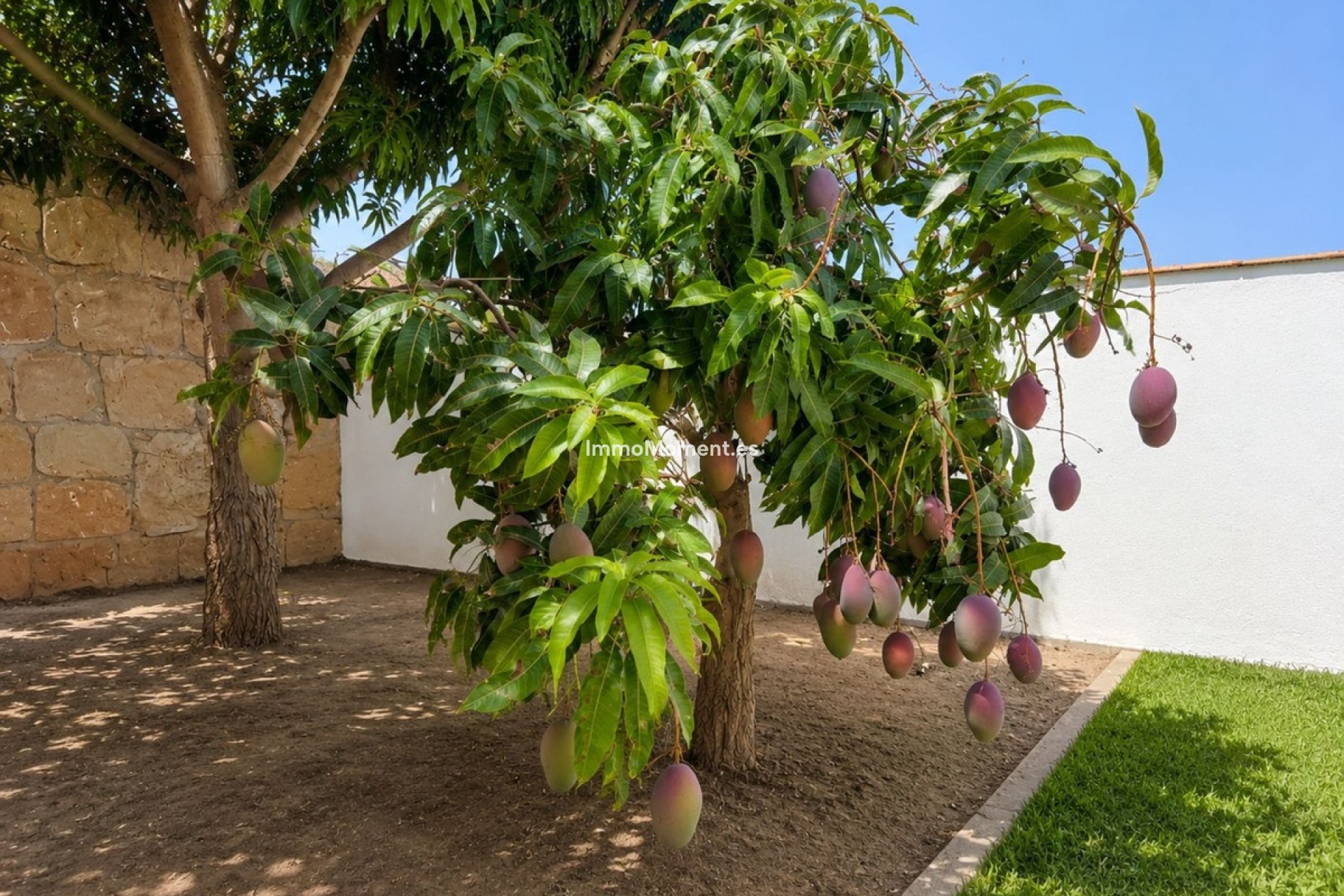 Wiederverkauf - Freistehende Villa - Estepona  - Estepona Centro