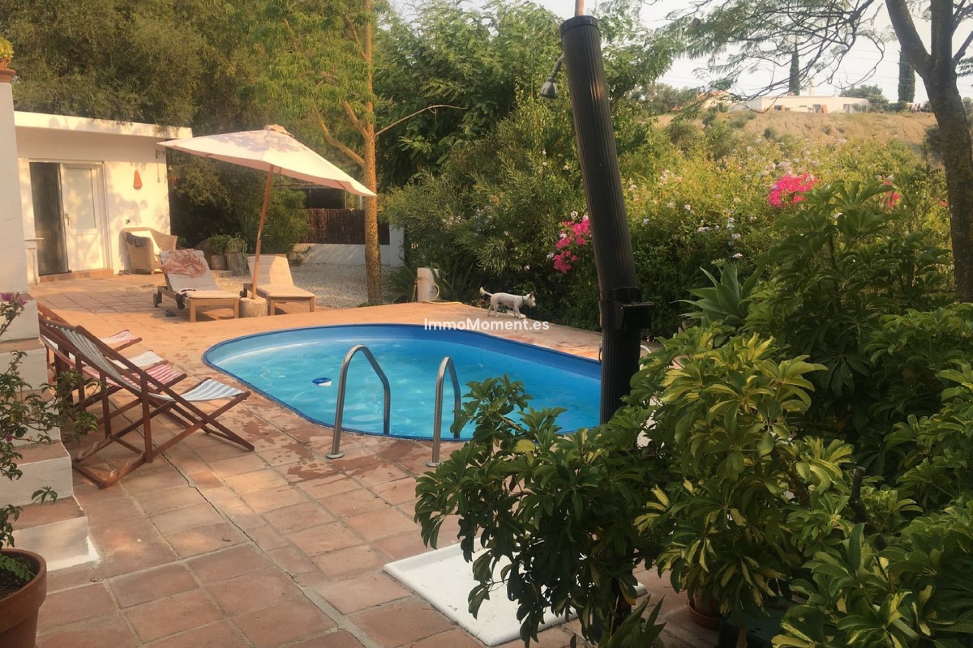 Wiederverkauf - Freistehende Villa - Estepona  - Estepona Centro