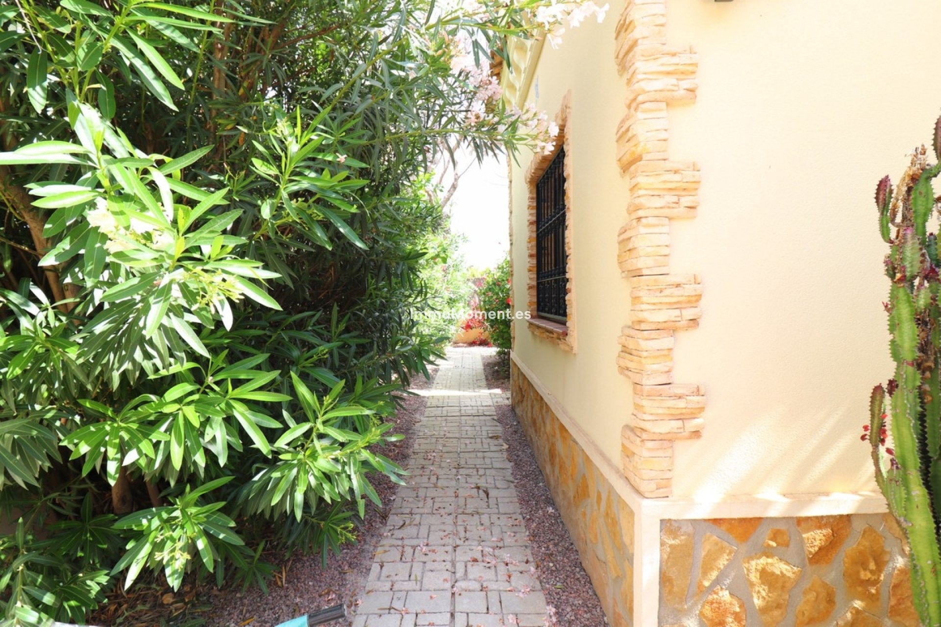 Wiederverkauf - Freistehende Villa - Formentera del Segura - Formentera del Segura Centro